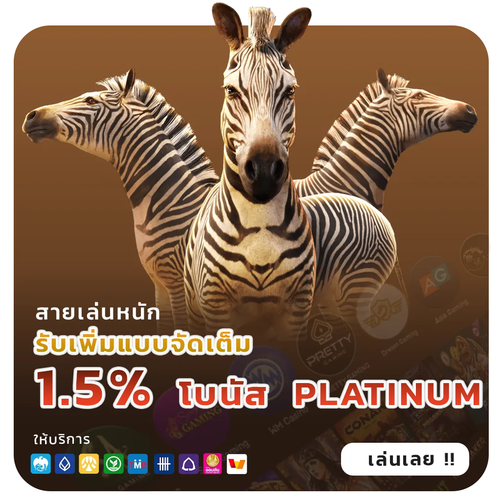 77 jili